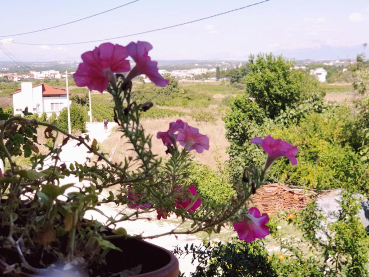 Delia Apartment Međugorje Екстериор снимка